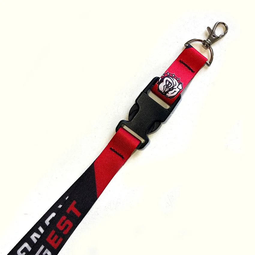 Lanyard · imagen